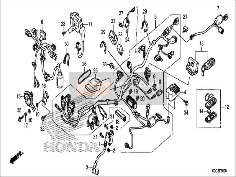 Honda C125A 2019 Wire Harness for a 2019 Honda C125A